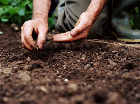 We Want This Hunky Gardener to Plant His Seed in Our Soil